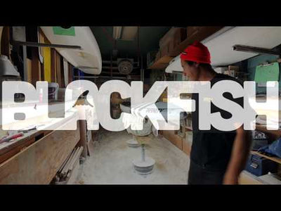 Infinity Blackfish